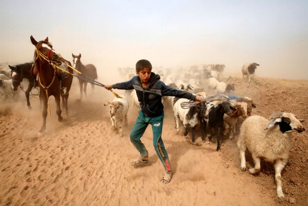 This Week in Pictures - Sputnik International