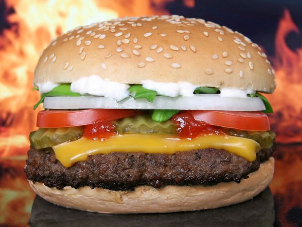 Burger - Sputnik International