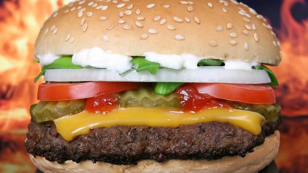 Burger - Sputnik International