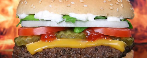 Burger - Sputnik International