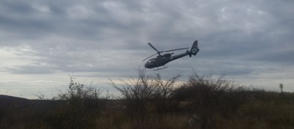 Slavic Brotherhood-2016 Drill in Serbia - Sputnik International