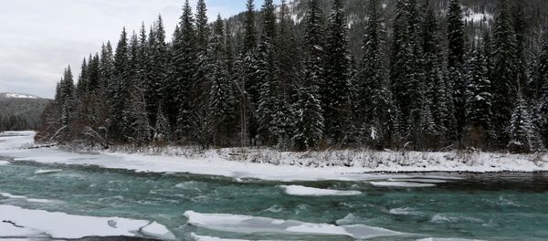 A view shows the Us river in the Western Sayan mountains in Krasnoyarsk region, Russia, November 4, 2016. Picture taken November 4, 2016. A view shows the Us river in the Western Sayan mountains in Krasnoyarsk region, Russia, November 4, 2016. Picture taken November 4, 2016. - Sputnik International