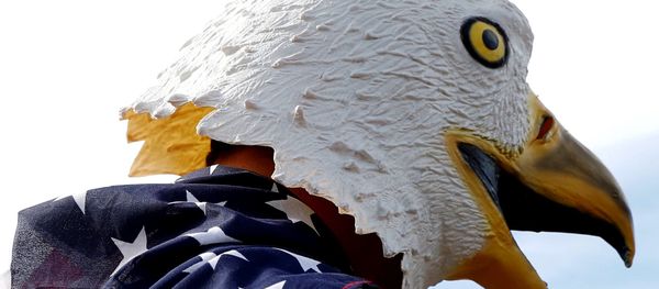 A man wears an eagle mask and is draped in a US flag outside of the event site of a U.S. presidential debate between Republican nominee Donald Trump and Democratic nominee Hillary Clinton at Washington University in St. Louis, Missouri, US, October 9, 2016. - Sputnik International