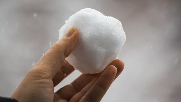 Snowball - Sputnik International