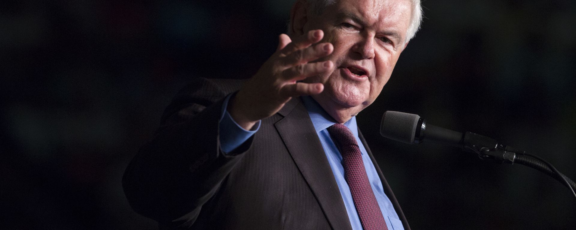In this file photo taken Sept. 19, 2016, former House Speaker Newt Gingrich introduces Republican presidential candidate Donald Trump during a campaign rally in Ft. Myers, Fla In this file photo taken Sept. 19, 2016, former House Speaker Newt Gingrich introduces Republican presidential candidate Donald Trump during a campaign rally in Ft. Myers, Fla - Sputnik International, 1920, 24.01.2022