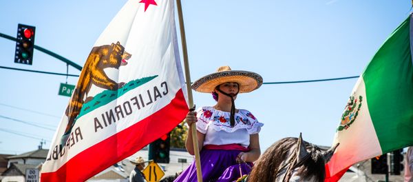 A woman carries a California flag during the 4th of July Parade in Alameda, California on Monday, July 4, 2016. - Sputnik International