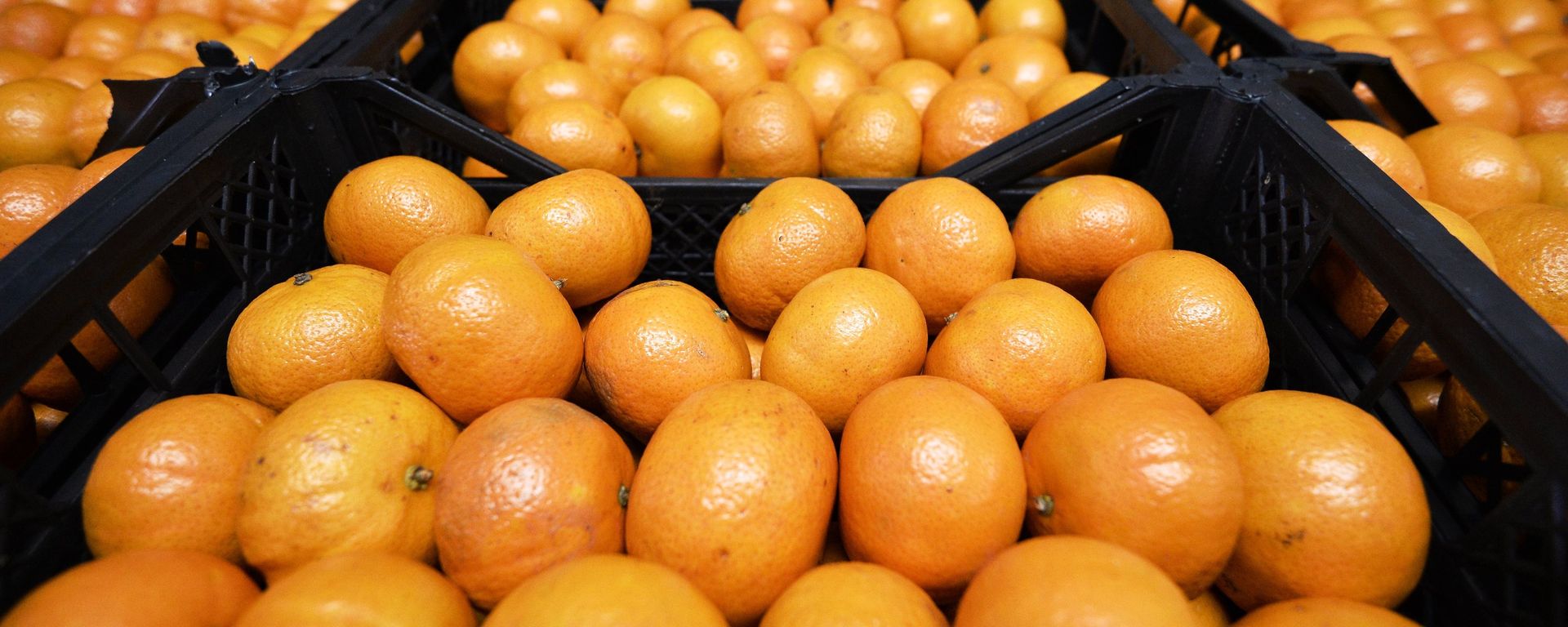 Syrian vegetable and fruit sold in Moscow - Sputnik International, 1920, 29.09.2022