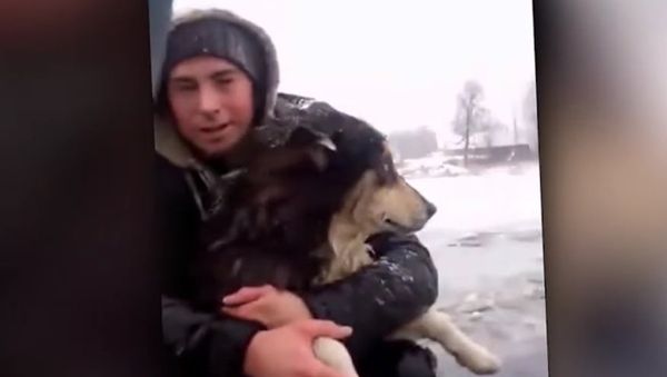 Road Workers Rescue Dog That Fell Through Thin Ice - Sputnik International