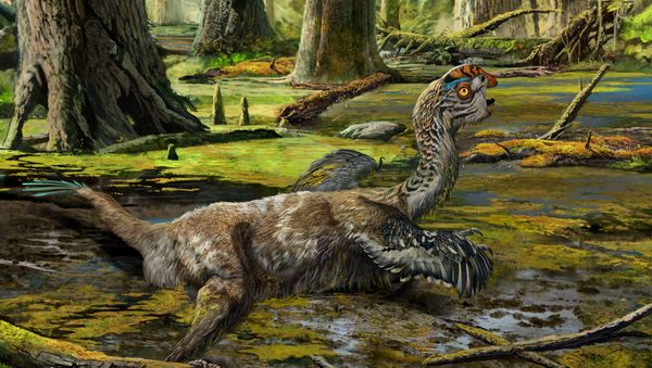 An artistic reconstruction, showing the last-ditch struggle of Tongtianlong limosus as it was mired in mud, one possible, but highly speculative, interpretation for how the specimen was killed and buried. - Sputnik International