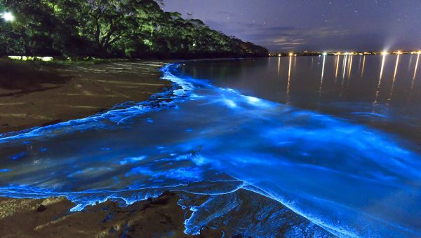 Vaadhoo Island, Maldives - Sputnik International