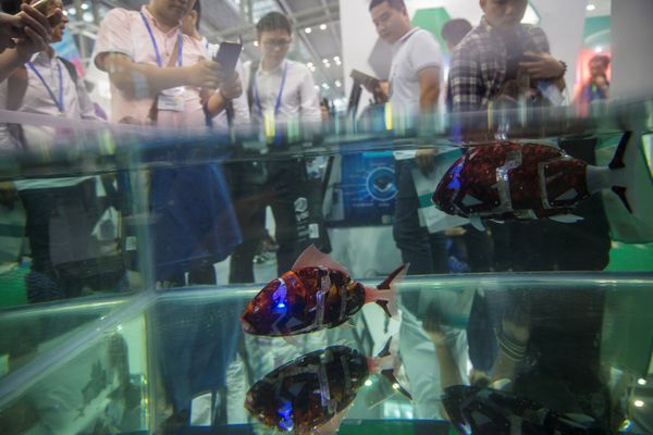 Fish robots swim in a pool during China Hi-Tech Fair in Shenzhen, China, November 16, 2016. Picture taken November 16, 2016 - Sputnik International