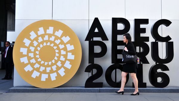 A woman walks by an APEC logo outside the Lima Convention Centre, during the Asia-Pacific Economic Cooperation (APEC) Summit on November 17, 2016 in Lima A woman walks by an APEC logo outside the Lima Convention Centre, during the Asia-Pacific Economic Cooperation (APEC) Summit on November 17, 2016 in Lima - Sputnik International