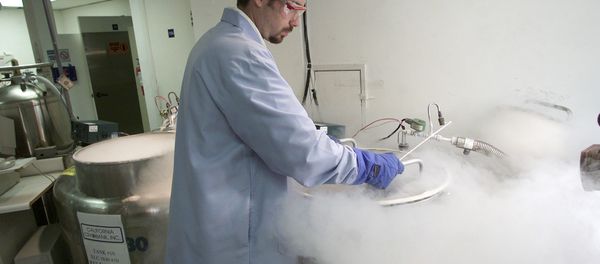 California Cryobank in Los Angeles California Cryobank in Los Angeles - Sputnik International