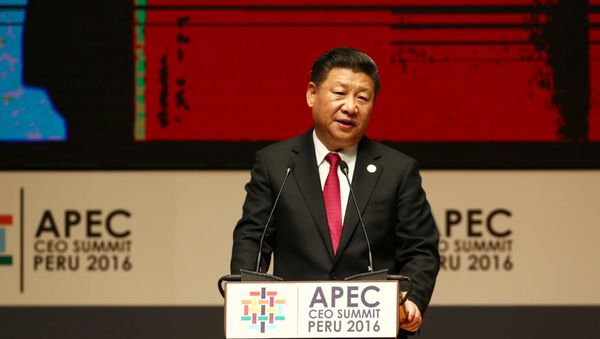 China's President Xi Jinping addresses audience during a meeting of the APEC (Asia-Pacific Economic Cooperation) Ceo Summit in Lima, Peru, November 19, 2016 China's President Xi Jinping addresses audience during a meeting of the APEC (Asia-Pacific Economic Cooperation) Ceo Summit in Lima, Peru, November 19, 2016 - Sputnik International
