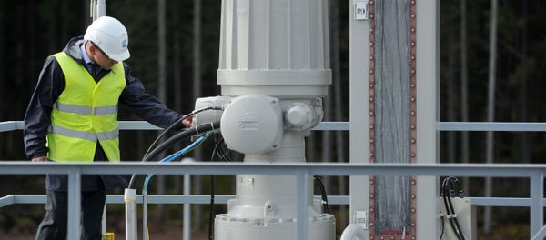 A test treatment facility at the Portovaya booster station, where the second section of the Nord Stream gas pipeline was launched. (File) A test treatment facility at the Portovaya booster station, where the second section of the Nord Stream gas pipeline was launched. (File) - Sputnik International