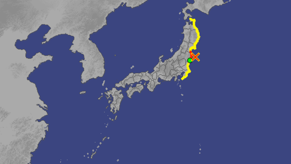 Initial tsunami observations following significant earthquake off Japanese coast Initial tsunami observations following significant earthquake off Japanese coast - Sputnik International