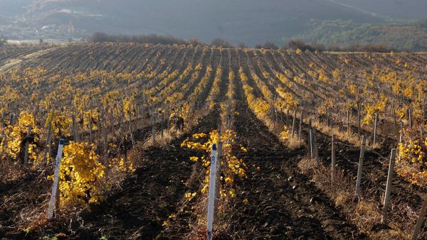 Russian regions. Crimea - Sputnik International