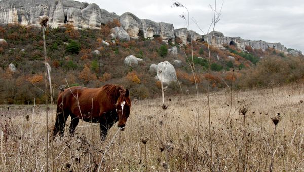 Russian regions. Crimea - Sputnik International