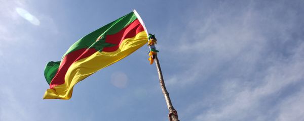 A masked Kurdish man waves a PKK's flag A masked Kurdish man waves a PKK's flag - Sputnik International