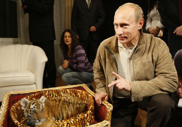 Prime Minister Vladimir Putin presented to journalists a tiger cub which he was given for his birthday on October 7.  - Sputnik International