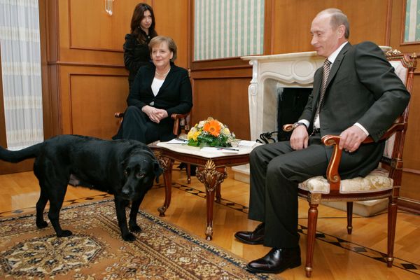 German Chancellor Angela Merkel and Russian President Vladimir Putin at the Bocharov Ruchei presidential residence, Sochi.  - Sputnik International