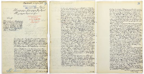 The reproductions provided by Landesarchiv Speyer show a letter by the grandfather of US President-elect Donald Trump. The handwritten letter has been found in a German archive in which Donald Trump's grandfather unsuccessfully fought his expulsion from the country for failing to perform mandatory military service. The reproductions provided by Landesarchiv Speyer show a letter by the grandfather of US President-elect Donald Trump. The handwritten letter has been found in a German archive in which Donald Trump's grandfather unsuccessfully fought his expulsion from the country for failing to perform mandatory military service. - Sputnik International