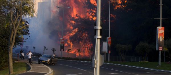 People run as wildfires rages in Haifa, Israel, Thursday, Nov. 24, 2016 People run as wildfires rages in Haifa, Israel, Thursday, Nov. 24, 2016 - Sputnik International