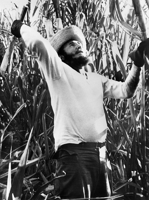 Life and Death of a Titan: Tribute to Fidel Castro Life and Death of a Titan: Tribute to Fidel Castro - Sputnik International