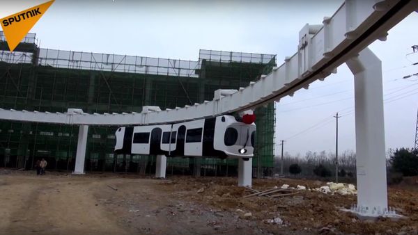 Take A Ride On The Panda Express! - Sputnik International