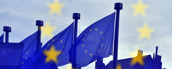 European flags are reflected at the entrance of the Berlaymont building EU Commission in Brussels European flags are reflected at the entrance of the Berlaymont building EU Commission in Brussels - Sputnik International