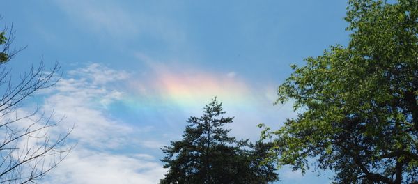 A circumhorizontal arc photographed in Hocking Hills, Ohio - Sputnik International