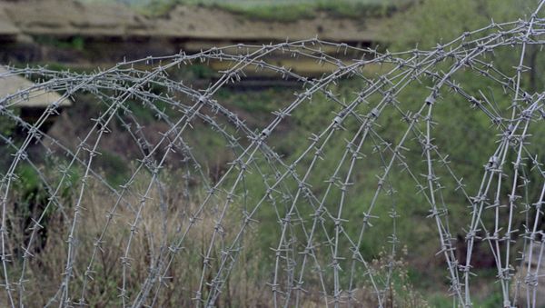 Golan Heights.Syrian Arab Republic. (File) - Sputnik International