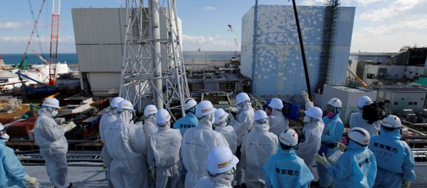 Members of the media, wearing protective suits and masks, receive briefing from Tokyo Electric Power Co. (TEPCO) employees (in blue) in front of the No. 1 (L) and No.2 reactor buildings at TEPCO's tsunami-crippled Fukushima Daiichi nuclear power plant in Okuma town, Fukushima prefecture, Japan February 10, 2016. - Sputnik International