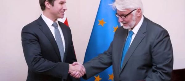 Poland's Deputy Foreign Minister Robert Grey (L). (File) Poland's Deputy Foreign Minister Robert Grey (L). (File) - Sputnik International