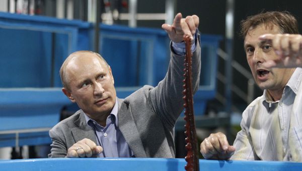 President Vladimir Putin (left) visiting the Primorye Oceanarium Research and Educational Center in the Russky Island, Vladivostok, the venue of the 2012 APEC Leaders' Week, September 6, 2012. - Sputnik International
