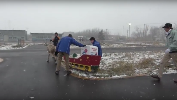 Domino's Japan reindeer delivery - Sputnik International