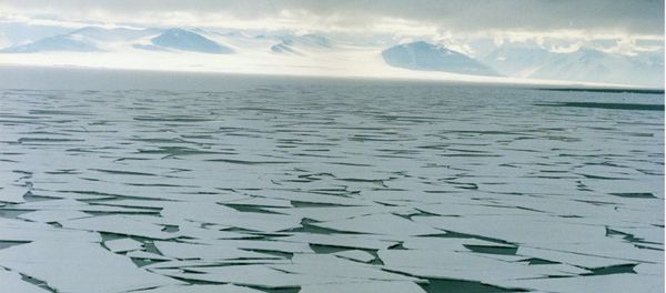 Sea ice in the Ross Sea, Antarctica - Sputnik International