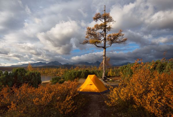'Travel at Home:' Natives’ Eye View of Russia’s Tempting Beauty - Sputnik International