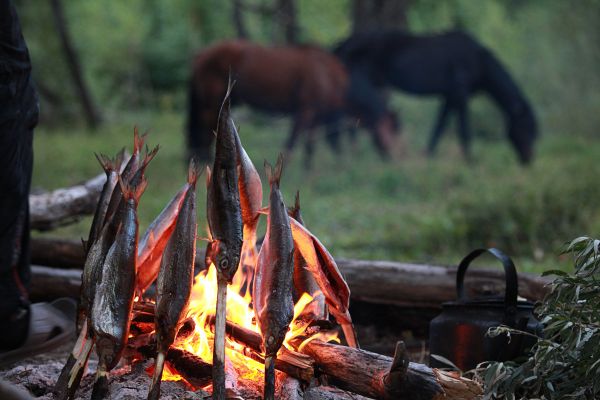 'Travel at Home:' Natives’ Eye View of Russia’s Tempting Beauty - Sputnik International