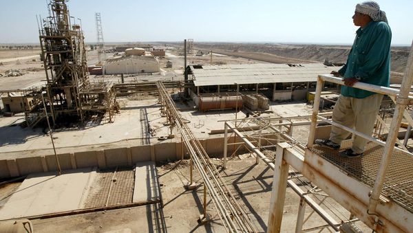 A worker stands on a platform overlooking the chlorine plant. Iraq (File) A worker stands on a platform overlooking the chlorine plant. Iraq (File) - Sputnik International