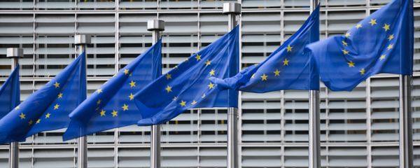 European Union flags in front of the European Commission headquarters in Brussels. (File) European Union flags in front of the European Commission headquarters in Brussels. (File) - Sputnik International