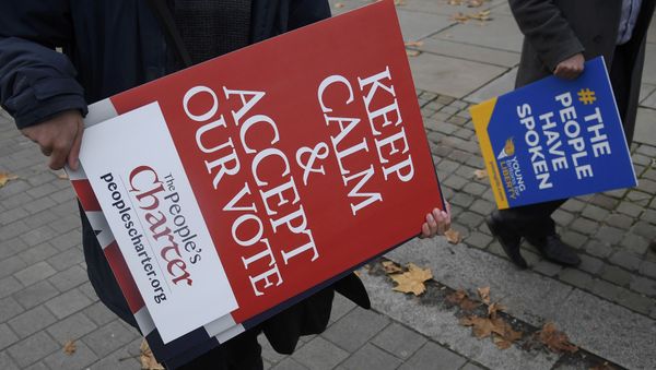 Demonstrators supporting Brexit protest outside of the Houses of Parliament in London, Britain, November 23, 2016. - Sputnik International