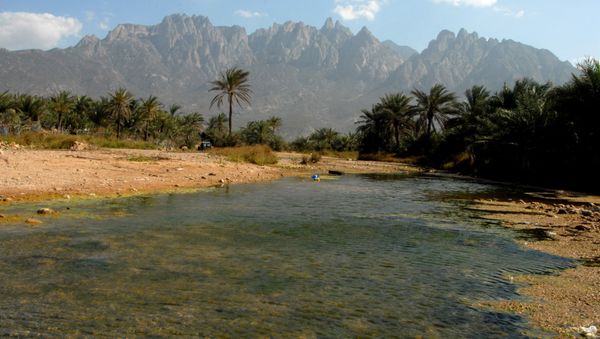 Yemeni Island of Socotra - Sputnik International