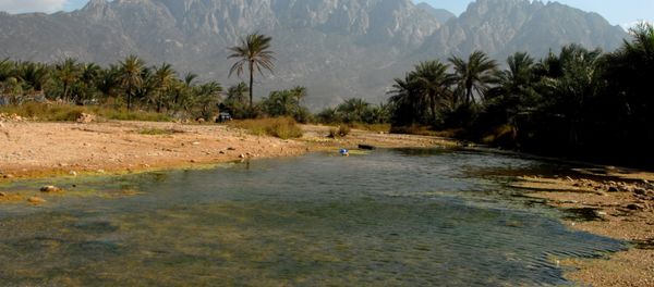 Yemeni Island of Socotra Yemeni Island of Socotra - Sputnik International