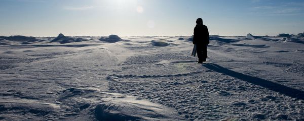 Arctic. (File) - Sputnik International