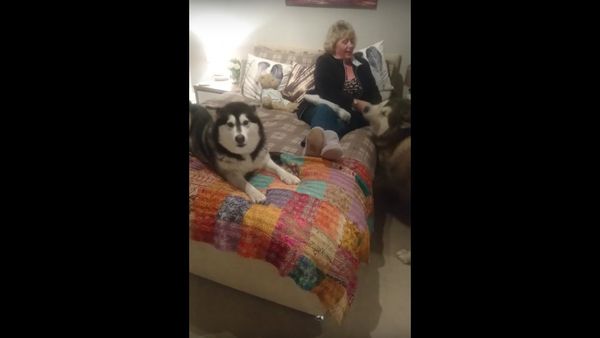 When they realise grandma is in the house - Sputnik International