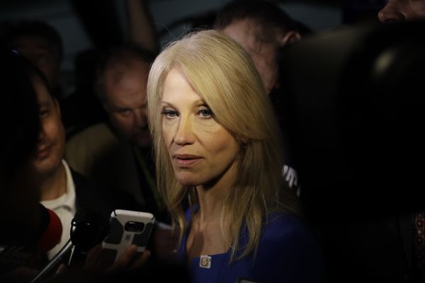 ‘Less Drama, More Mama’ Kellyanne Conway to Quit Trump White House  - Sputnik International