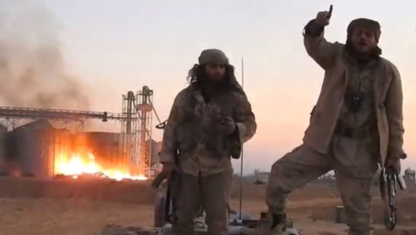 A still image taken from a video released by Daesh-affiliated Amaq news agency, said to be in Palmyra, on December 11, 2016 - Sputnik International