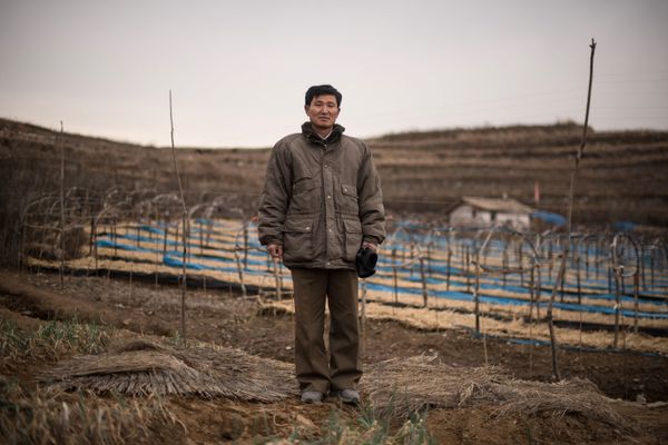 A Rare Glimpse Into Daily Life in North Korea - Sputnik International