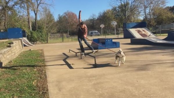 Dog Runs with Skateboarder - Sputnik International
